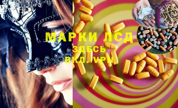 spice Аркадак