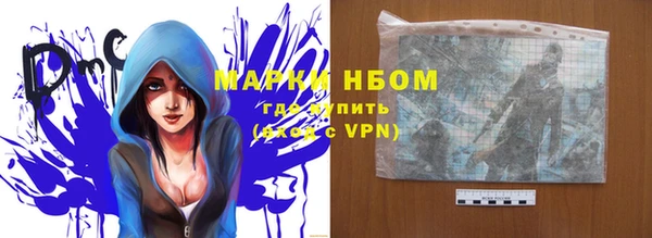 прущие грибы Баксан