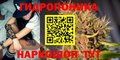Альфа ПВП Гусев
